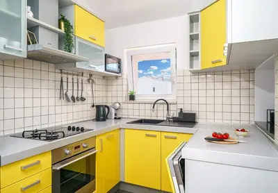 Kuhinja ili čajna kuhinja u objektu Family Petrov Apartments