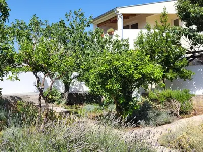 Vrt u objektu Lavender Garden House