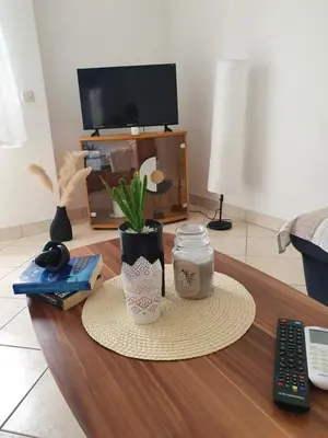 TV i/ili zabavni centar u objektu Apartment Selak