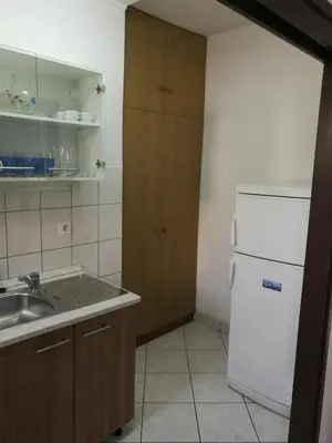 Kuhinja ili čajna kuhinja u objektu Apartments Krželj