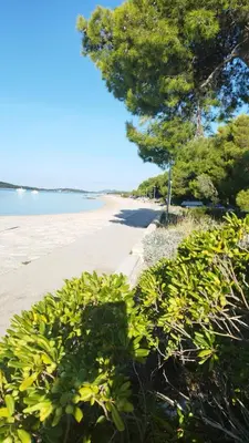 Priroda u blizini apartmana