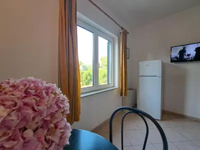 Kuhinja ili čajna kuhinja u objektu Apartments Karmen