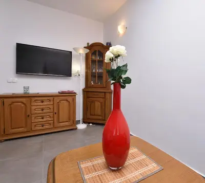 TV i/ili zabavni centar u objektu Apartment Frieske