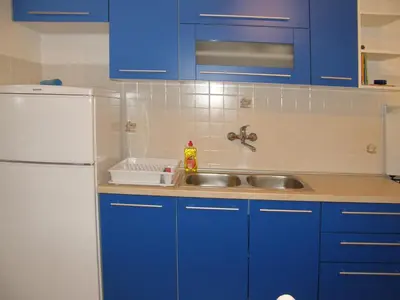 Kuhinja ili čajna kuhinja u objektu Apartments Dijo