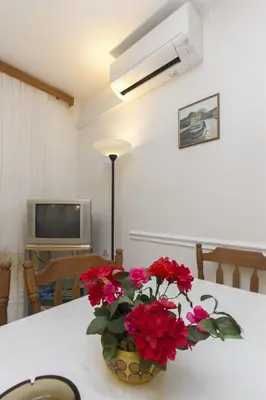 TV i/ili zabavni centar u objektu Apartments Slavica