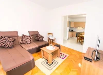 Kuhinja ili čajna kuhinja u objektu Apartment Stane