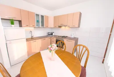 Kuhinja ili čajna kuhinja u objektu Apartment Stane