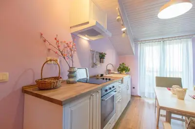 Kuhinja ili čajna kuhinja u objektu Apartments with WiFi Sibenik - 14387
