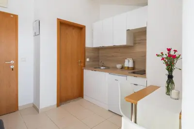 Kuhinja ili čajna kuhinja u objektu Villa Vodice (94)