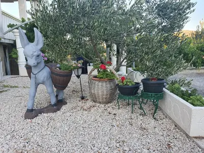 Vrt u objektu Apartman Mare
