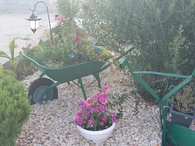 Vrt u objektu Apartman Mare