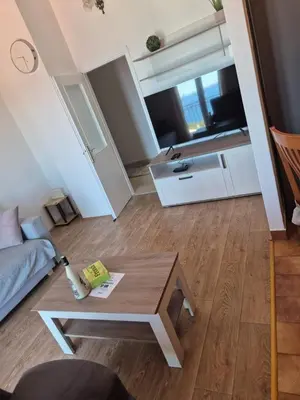 TV i/ili zabavni centar u objektu Apartment Bore