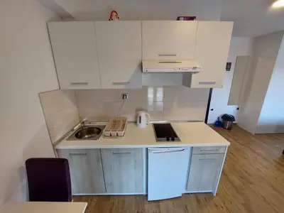 Kuhinja ili čajna kuhinja u objektu Apartments Daniel