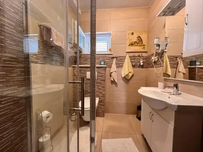 Kupaonica u objektu Luxury apartments Goles