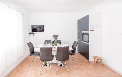TV i/ili zabavni centar u objektu Three-Bedroom Holiday Home In Unesic