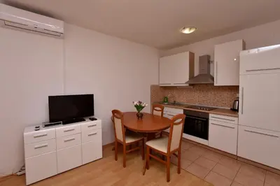 Kuhinja ili čajna kuhinja u objektu Apartment Tome