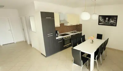 Kuhinja ili čajna kuhinja u objektu Apartments Silvija