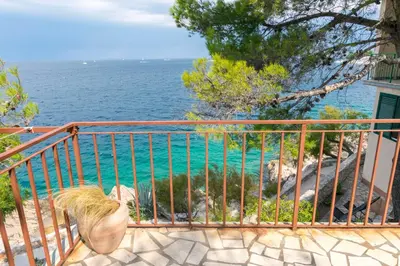 Priroda u blizini apartmana