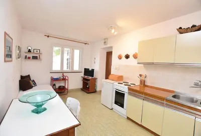 Kuhinja ili čajna kuhinja u objektu Apartments Ziva
