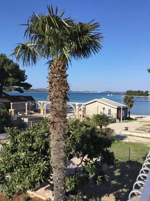 Priroda u blizini apartmana