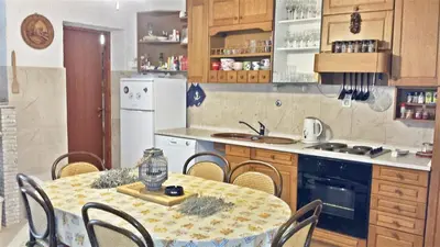Kuhinja ili čajna kuhinja u objektu Spacious Apartment in Zlarin + terrace
