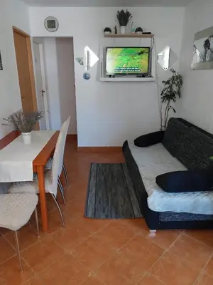 TV i/ili zabavni centar u objektu Apartment Oaza