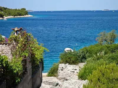 Priroda u blizini apartmana