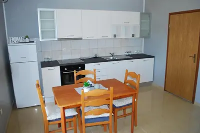 Kuhinja ili čajna kuhinja u objektu Apartmani Ivan