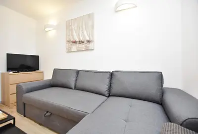TV i/ili zabavni centar u objektu Apartment Palcic