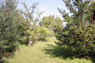 Tlocrt objekta Apartment Murter 5122d
