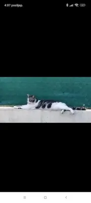 Tlocrt objekta 'By the sea'