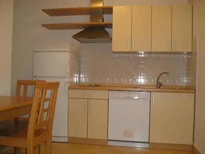 Kuhinja ili čajna kuhinja u objektu Apartments Luna