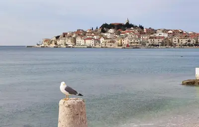 Priroda u blizini vila