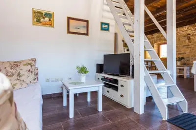 TV i/ili zabavni centar u objektu Rural house Mudrinic 