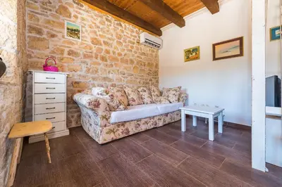TV i/ili zabavni centar u objektu Rural house Mudrinic 
