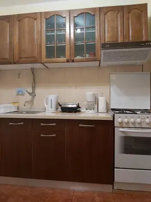 Kuhinja ili čajna kuhinja u objektu Apartman Rosa