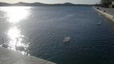 Priroda u blizini apartmana