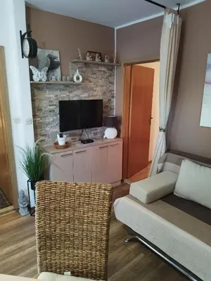TV i/ili zabavni centar u objektu Apartmani Kraljević