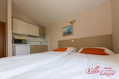 Kuhinja ili čajna kuhinja u objektu Villa Lozica