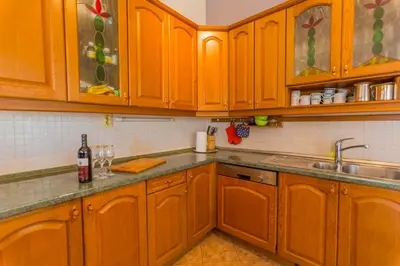 Kuhinja ili čajna kuhinja u objektu Kuća za odmor Rajčić