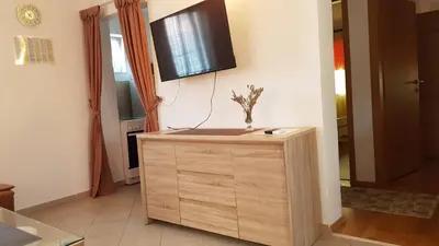TV i/ili zabavni centar u objektu Apartment Zorica