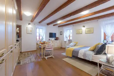 TV i/ili zabavni centar u objektu Villa Lucija Vodice