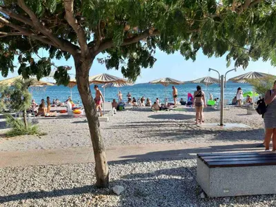 Gosti u objektu Guesthouse Brodarica (3814)