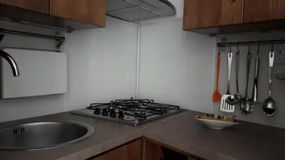 Kuhinja ili čajna kuhinja u objektu Apartmani Krapanj