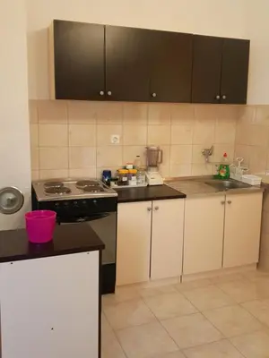 Kuhinja ili čajna kuhinja u objektu Kuća za odmor Mile