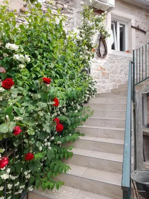 Vrt u objektu Apartmani Sanja