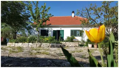 Vrt u objektu Holiday home 