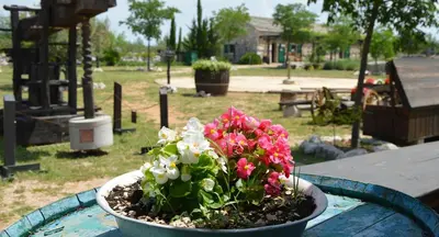 Vrt u objektu Family friendly holiday home 