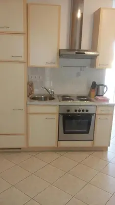 Kuhinja ili čajna kuhinja u objektu Ivo
