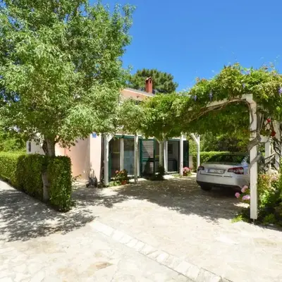 Apartment Wisteria